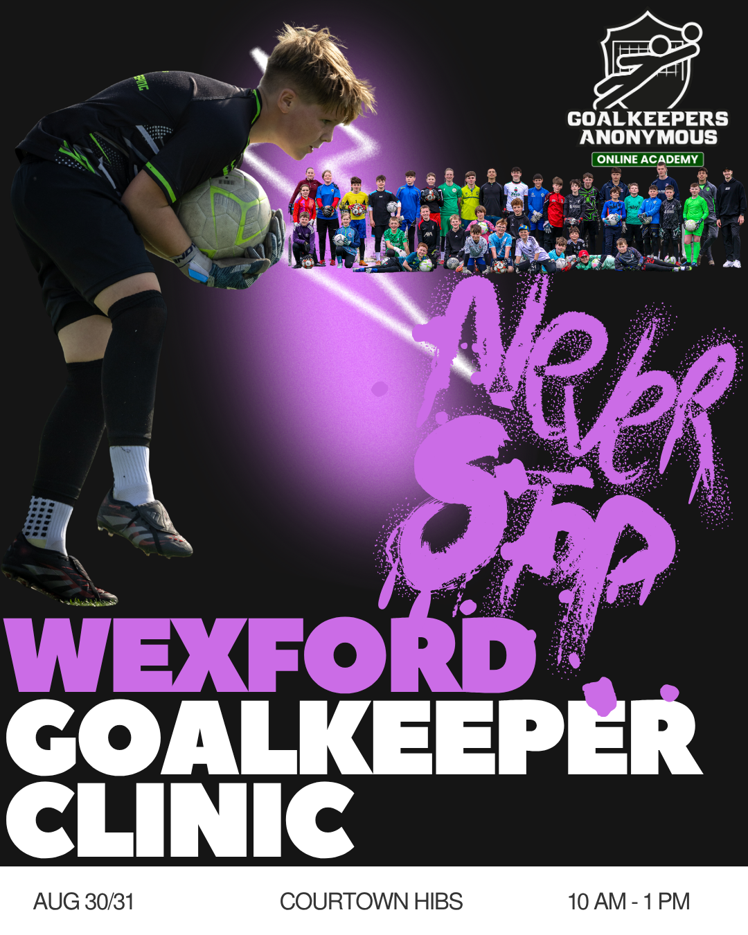 Wexford 2 Day Goalkeeper Camp