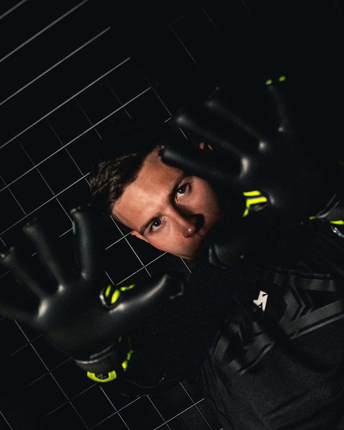 Kaliaaer - PROXCEL COBALT XT (Billetera para guantes gratis)