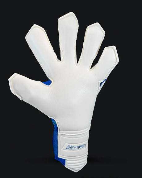 Kaliaaer – PROXCEL COBALT XT (kostenlose Handschuh-Geldbörse)